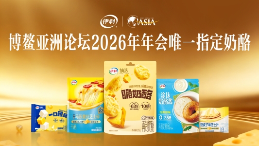 博鳌亚洲论坛奶酪主视觉-RGB