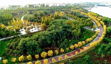 0fcae5b8d593a07940581d4cad199a0b