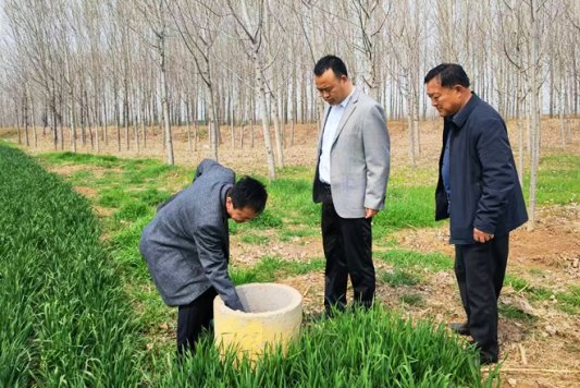 滕州市张汪镇人大:聚焦高标准农田 管护守好群众“饭碗田”