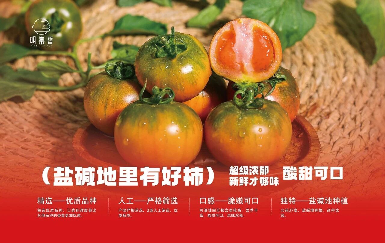 东营利津:西红柿 “串” 起乡村振兴大产业