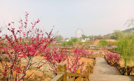 四季景观大道 (2)