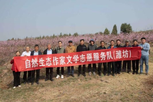 春风桃李映振兴