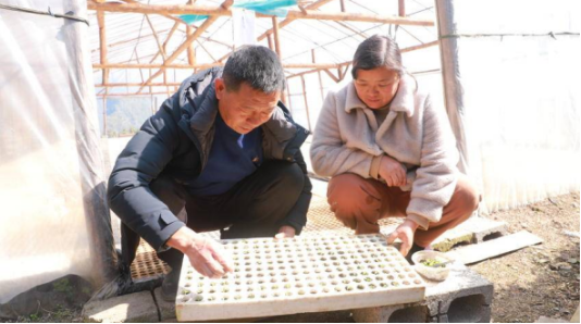 湖北巴东:清江库区春来早 产业发展绘就乡村振兴新图景