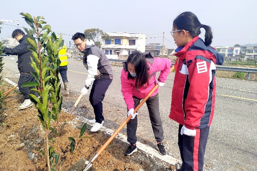 浙江岱山:执“绿”为笔 绘就山海新画卷