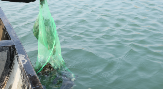 微信图片_20260326113228_164_3