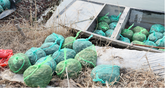 微信图片_20260326113244_165_3