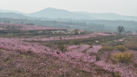 34a5acc76614de746a95b549fa8de7d2