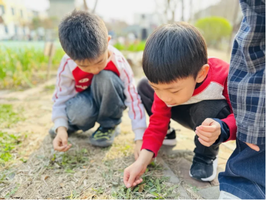 cab214bc8a184451b4c7455c381653d4