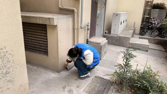 微信图片_20260330143349_160_181