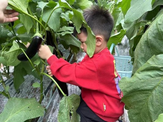 微信图片_202501160836531