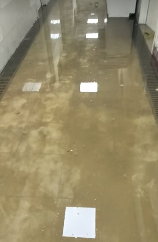 民生帮办追踪|青岛一社区医院惨变“化粪池”后续:部门推诿、成因不明 污水倒灌愈演愈烈