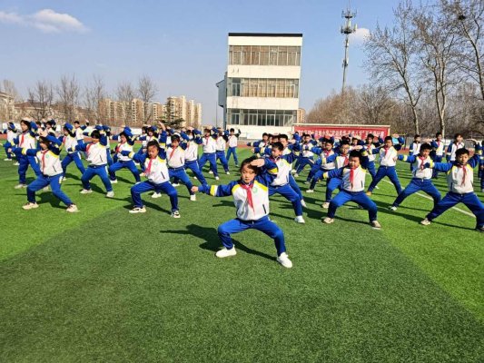 淄博市博山区四十亩地小学举行五步拳比赛