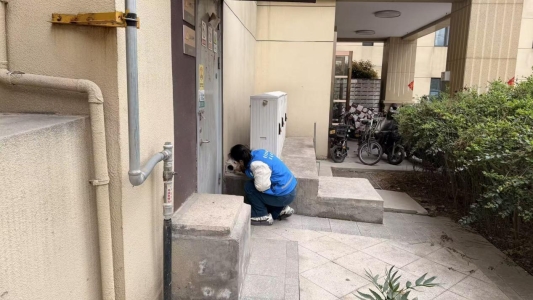 济宁市任城区南张街道满庄社区:网格排查护健康 毒饵站巡检筑防线