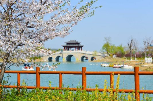 微信图片_20250218140844