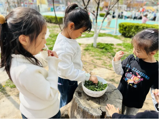 40b60c6319424e6eb8db24e0f6843fbb