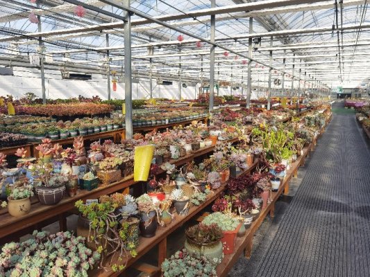 微信图片_20250116143950