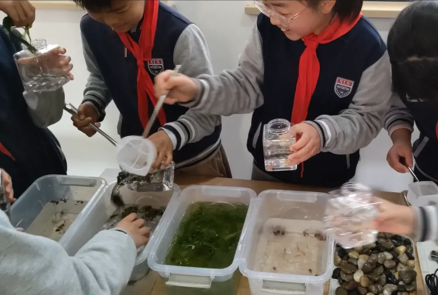 1775029053413105.png 6_副本.png