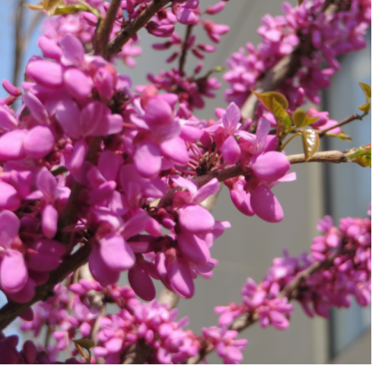 81c705064b6e506b06cb83aca81dde76