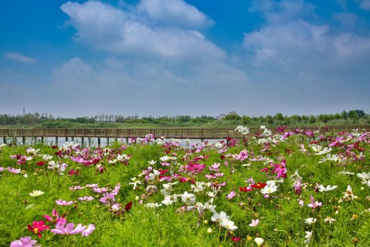 天鹅湖温泉国际慢城