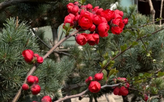 7a5e3a964e04bfed8d2ec29815fac8b8