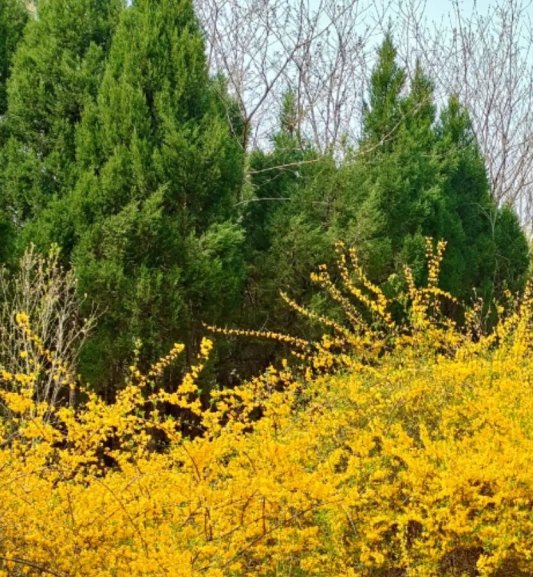 4e3f7bafddecd19d40f983040cad2c44