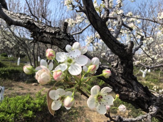 微信图片_20260401104124_1180_60