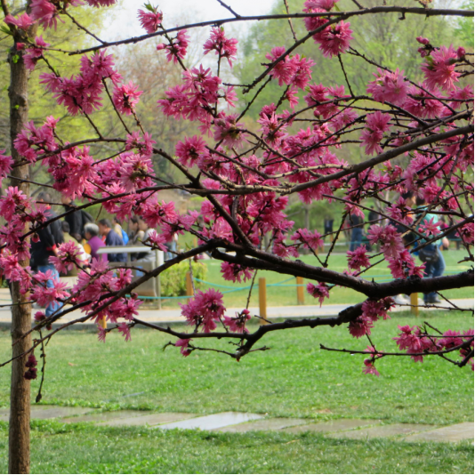 d8531cc02d50462304874b51ecae4dc3