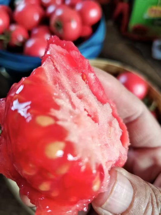 c106f68f386b98e3f0205daf32e097ec