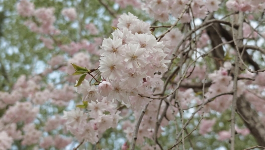 6523ef9e59dcc3bcb357733daa1af1d0