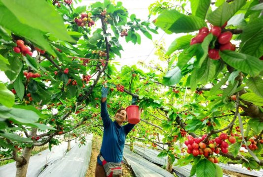 658bb2a03d4c5683c7be56d8d5699065