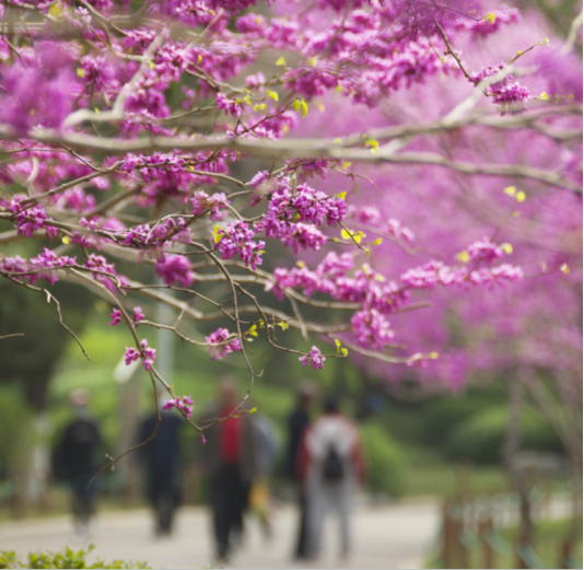 ddc08bf54a90c2d9380e987407fbe8ce