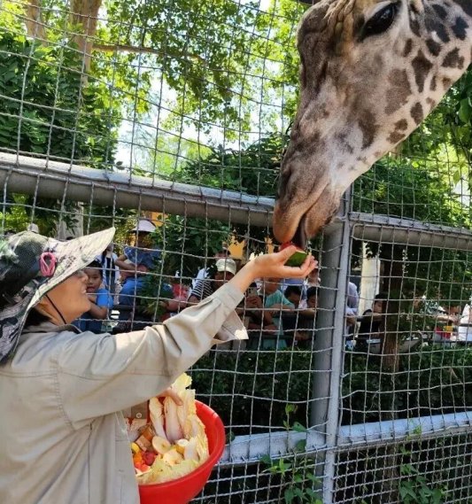 c91aaacd15c8b989868fc80d1b41cac8