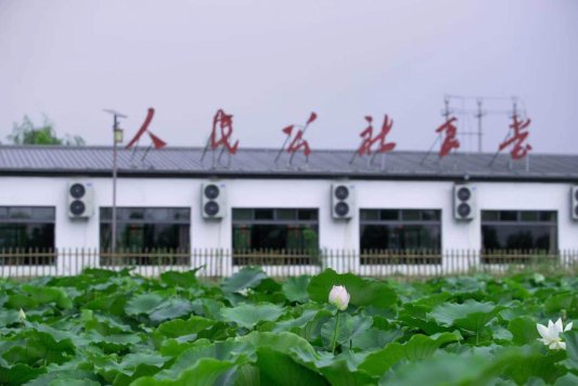 cba7ad653b24ca15520eaa04190b48c