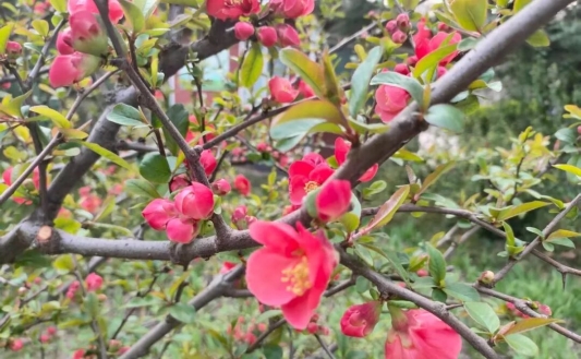 f3b997b594f11ec2079fa6b24bd40ba6