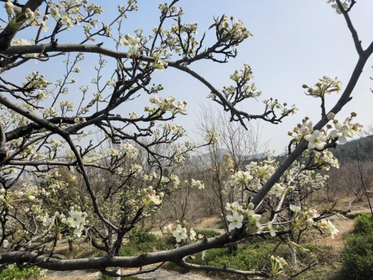 微信图片_20260401104126_1181_60