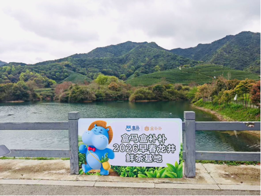 追着阳光抢嫩芽 盒马把春茶“头口鲜”送往全国盒区房