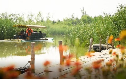 ee61b5e238a7e7c2b655364fd444232b