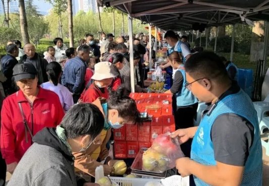 9e6c4bc255a5c19a2696ba1c75990afa