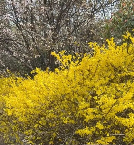 9f326ef405ec1dc90c8245f9f72c476b