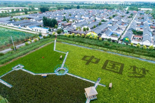 6a8130cc8e65bdf56ca47abbf93b7620