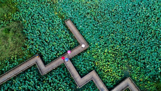 天鹅湖温泉国际慢城 (6)