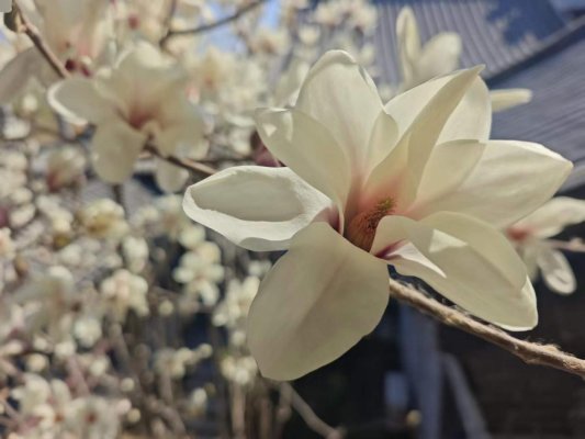 038433fbc69c861e8157899ebda7db36