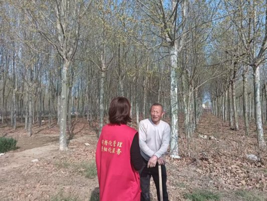 bdcab349052a0464864733ebfc1ad39