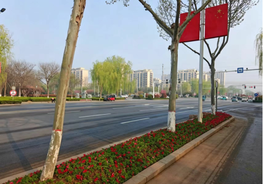 济宁市泗水县住建局:开展养护提升行动 园林绿化提质焕新