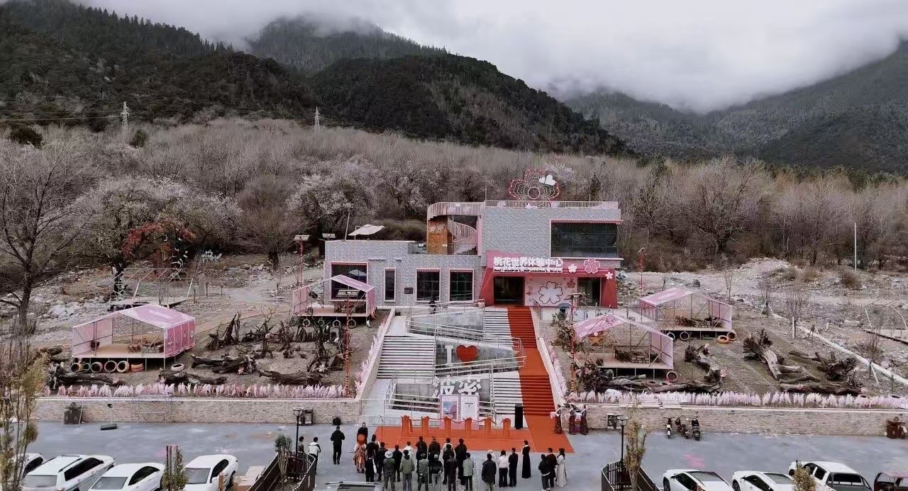 1775126863953561.jpg 6.jpg