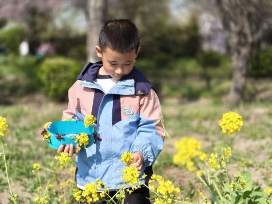 4e0a90a06a680cfaa59f1e8a131d59f3