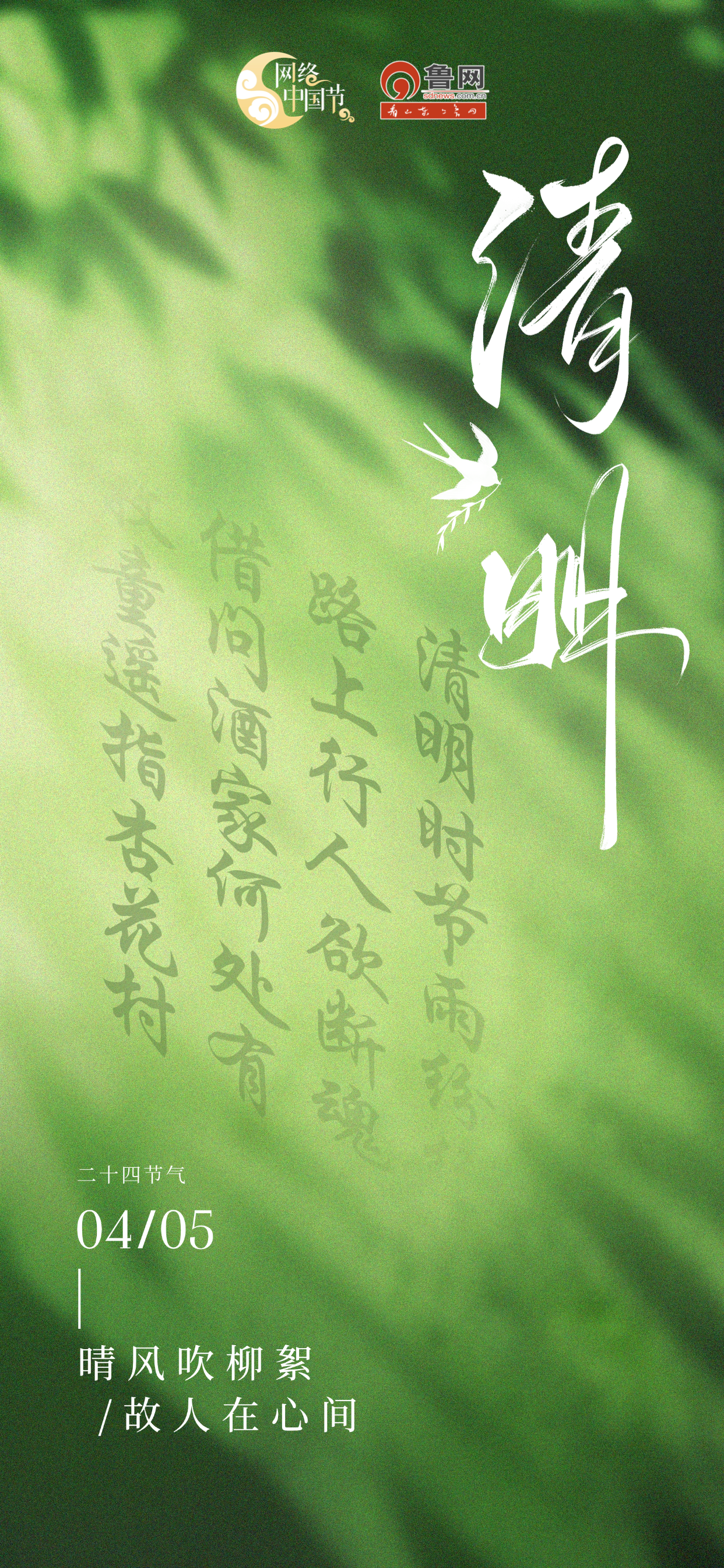 清明 | 晴风吹柳絮,故人在心间
