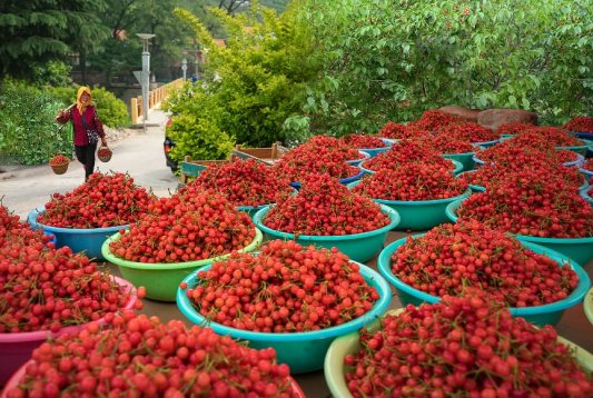 微信图片_20260404184656_22_29