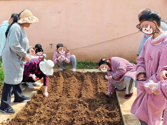 微信图片_20260402150438_470_66