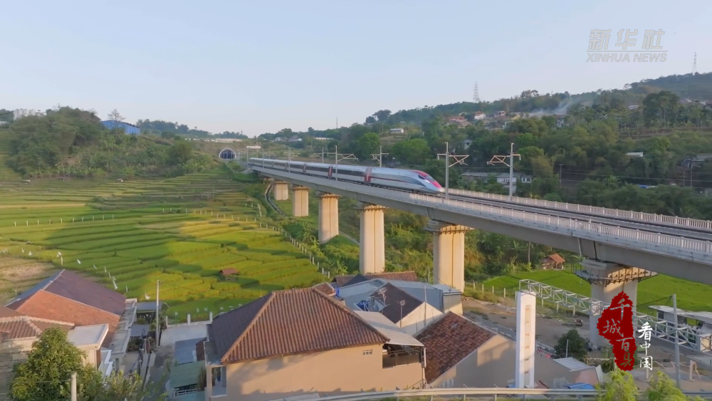 千城百县看中国｜山东青岛：高铁“梦工厂”助力“贴地飞行”